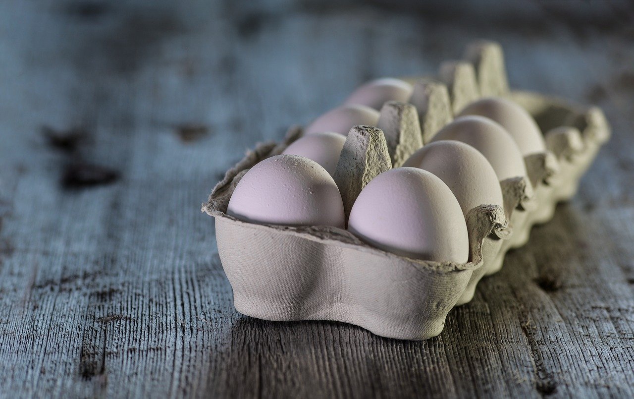 Contenitori per uova, il rispetto dell’ambiente parte dal packaging